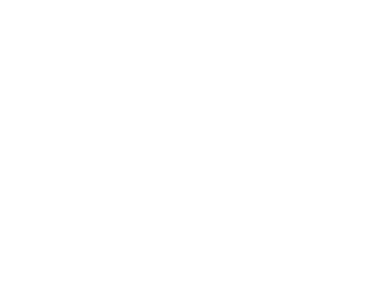 Sociālās integrācijas valsts aģentūra