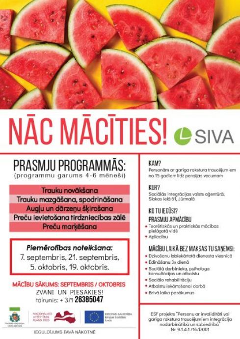 NÄc mÄcÄ«ties kÄdÄ no SIVA ESF projekta prasmju programmÄm
