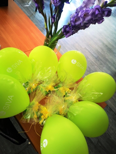 Uz galda novietoti zaļi baloni ar dāvaniņām un violetas gladiolas