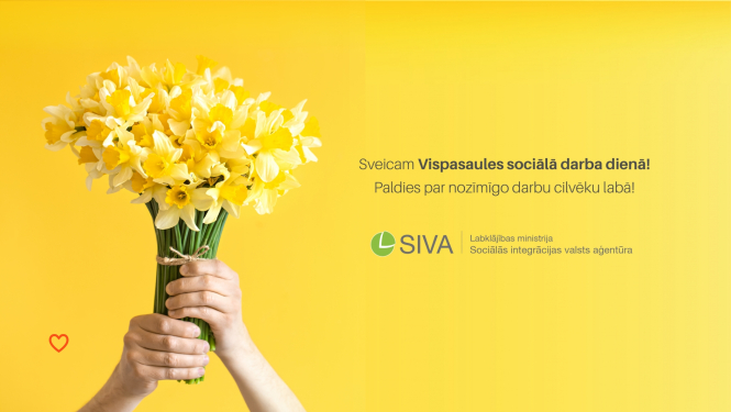 dzeltenas narcises rokās