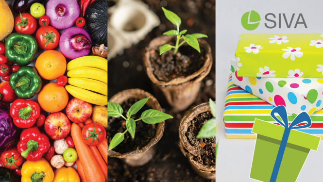 Ilustratīvs attēls, kurā redzami augļi un dārzeņi, podiņos sastādīti augi, dāvanu iesaiņošanas papīri un dāvana.