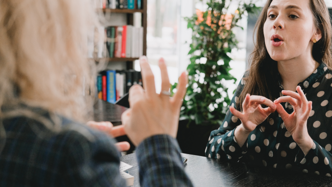 sudrotulku uzņemšana 2023