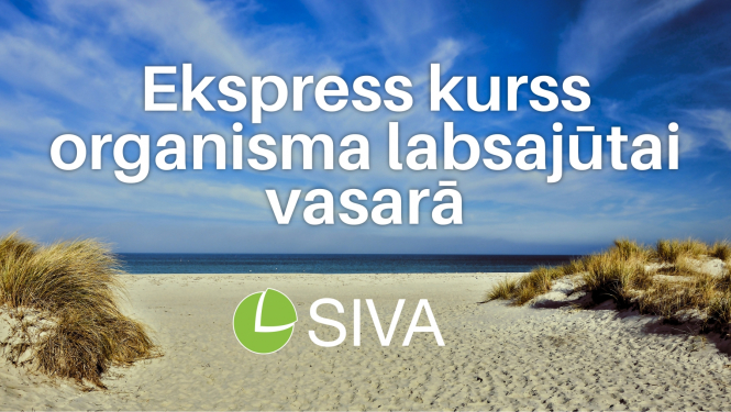 Ekspress kurss organisma labsajūtai vasarā
