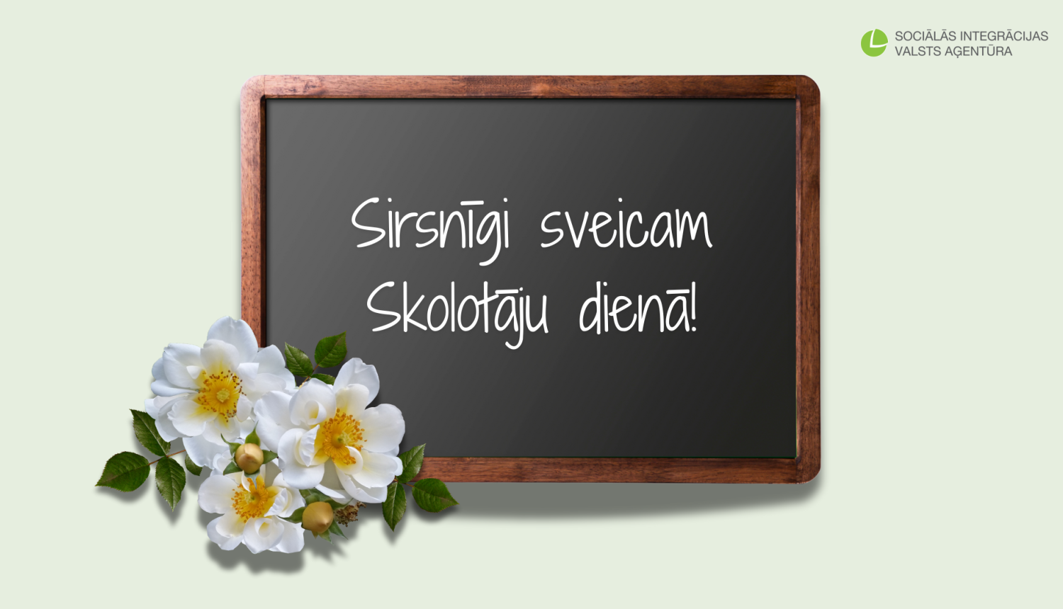 Uz baltiem ziediem dekorētas tāfeles uzrakstīts apsveikums Skolotāju dienā