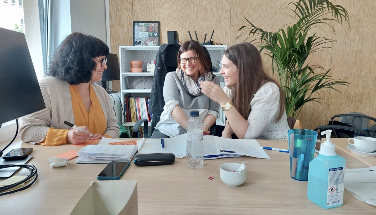 SIVA ekspertes un programmas dalībanieces