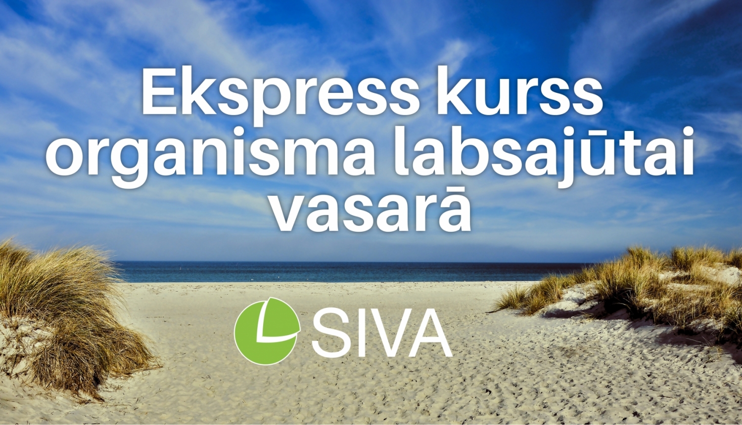 Ekspress kurss organisma labsajūtai vasarā